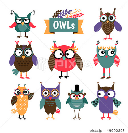 ふくろう フクロウ 鳥 カラフルのイラスト素材 - PIXTA