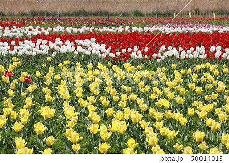 西新井駅の写真素材