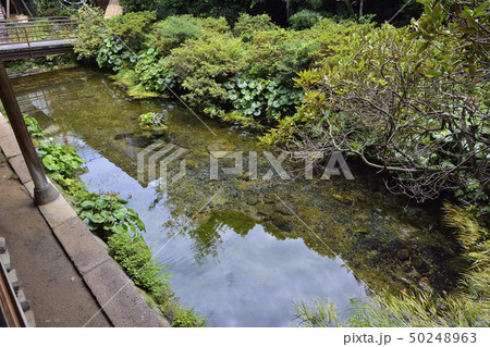 島原湧水群の写真素材