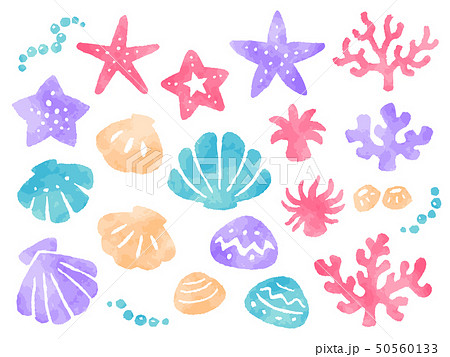 サンゴのイラスト素材 Pixta