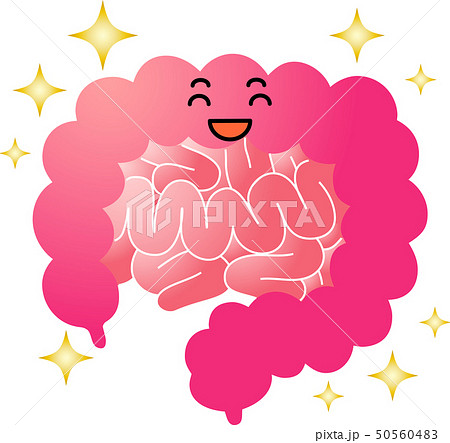 小腸のイラスト素材
