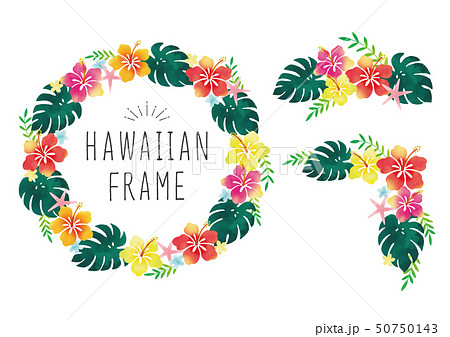 Hawaiiのイラスト素材
