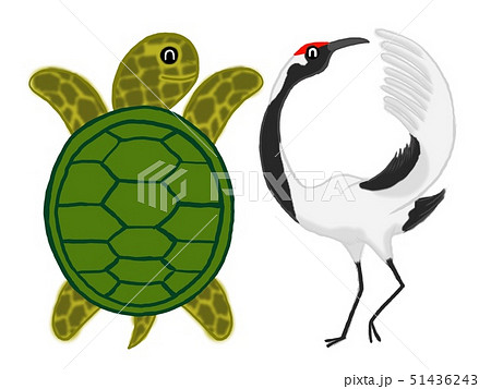 かめ 亀 カメ 横向きのイラスト素材