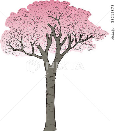 花より団子のイラスト素材