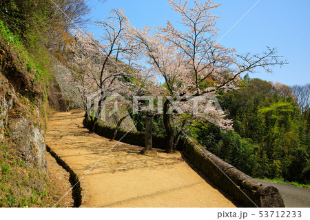 岡城址の写真素材