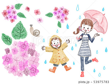 アジサイ 紫陽花 色鉛筆画 梅雨のイラスト素材