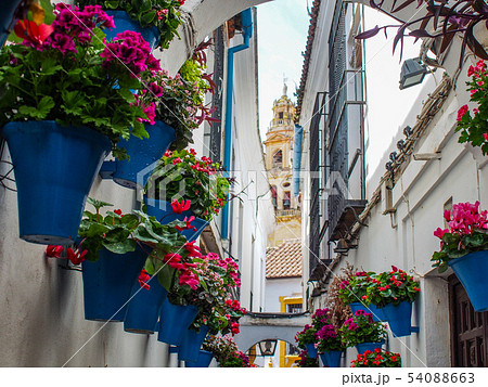 花の小道 コルドバ歴史地区 コルドバ スペインの写真素材 Pixta