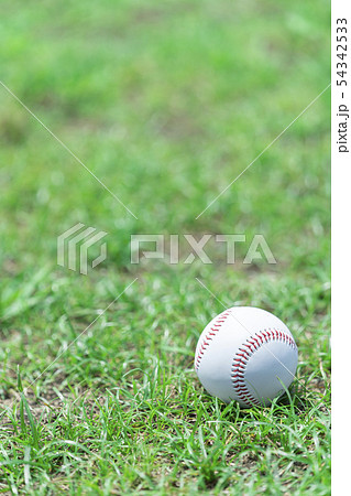 野球場 背景素材の写真素材