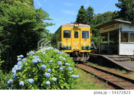 三育学院大学久我原駅の写真素材