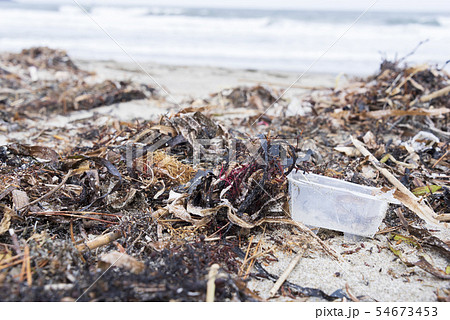 海洋汚染の写真素材