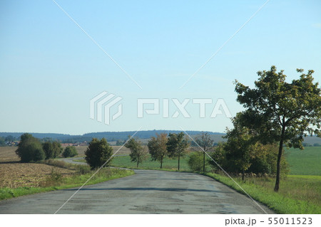 並木道 田舎道 風景 海外の写真素材