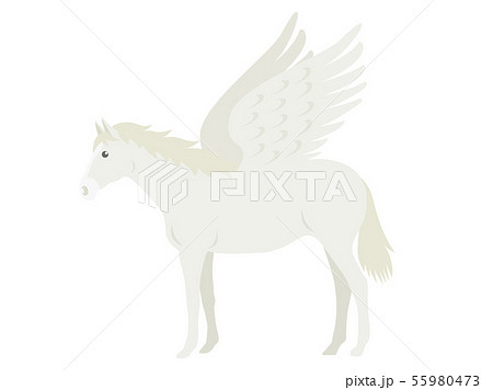 動物 馬 白馬 イラストのイラスト素材