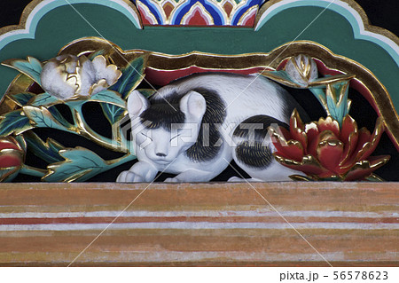日光東照宮眠り猫の写真素材