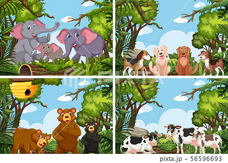 ジャングル 動物のイラスト素材