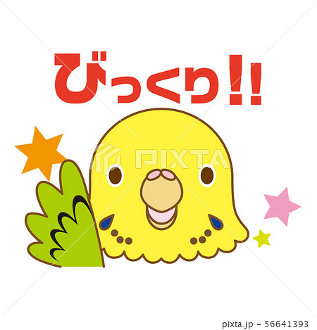 セキセイインコ かわいいのイラスト素材