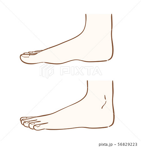 左足のイラスト素材