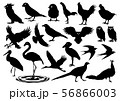 鳥シルエットaのイラスト素材