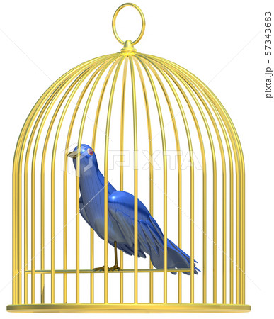 ブルーバード 青い鳥 鳥 鳥かごのイラスト素材