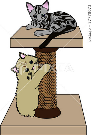 猫 アメショのイラスト素材