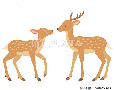 鹿 動物 雄 横顔 野生のイラスト素材