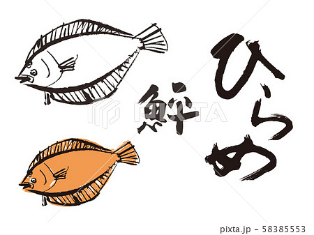 ひらめ 鮃 魚 墨絵のイラスト素材