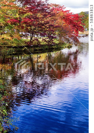 蓼科湖 湖 きれい 風景の写真素材