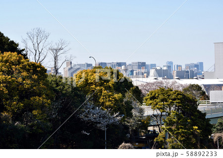 団地 八潮