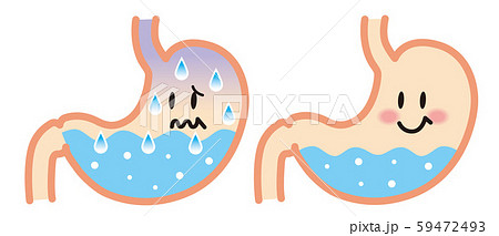 胃袋のイラスト素材