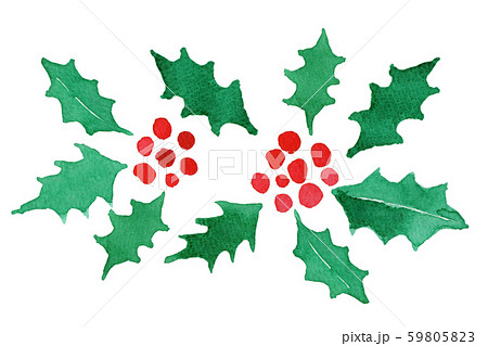 ホーリー 植物の写真素材