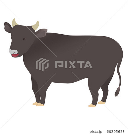 松阪牛のイラスト素材 - PIXTA