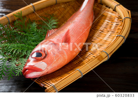 赤鯖の写真素材