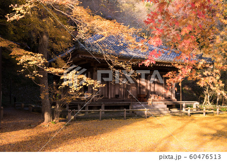 国宝 富貴寺 紅葉 銀杏の写真素材