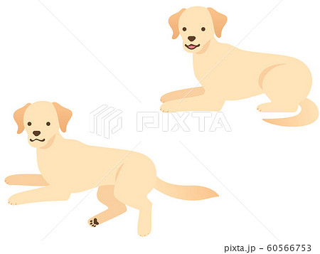 世界に一つ❣️犬の絵  ラブラドール 世界に一つ❣️犬の絵 ラブラドール - メルカリ