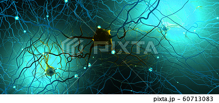 神経細胞のイラスト素材