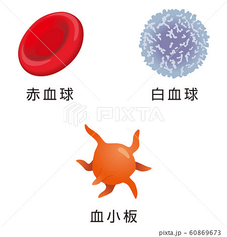 血球のイラスト素材