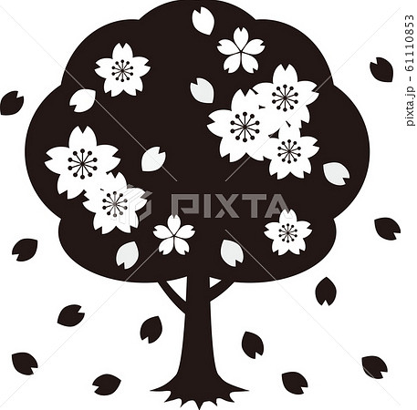 白黒 桜 花 シンプルのイラスト素材 Pixta