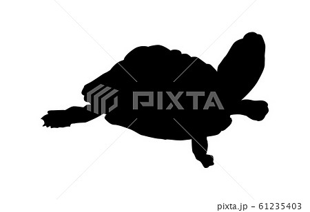 シルエット 亀 カメ イラストのイラスト素材
