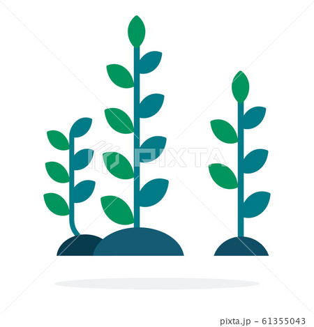組み合わせ 藻類 成長 生育のイラスト素材
