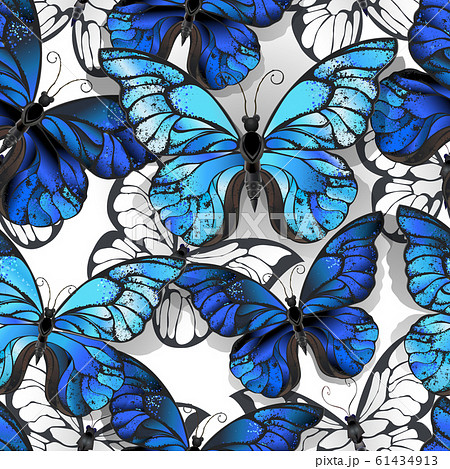 青い蝶のイラスト素材