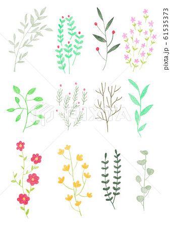 色鉛筆 花のイラスト素材
