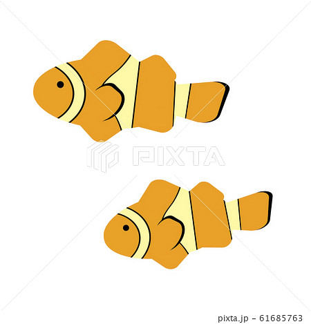 隠れクマノミのイラスト素材