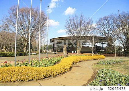 ふなばしアンデルセン公園 船橋アンデルセン公園 チューリップ 花畑の写真素材