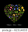 plant, floral, flower plant, floral, flower 62314033
