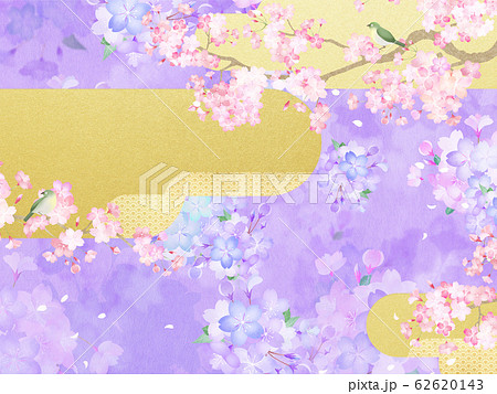 花柄 和柄 紫 和風 壁紙の写真素材
