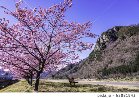 長嶋茂雄の写真素材