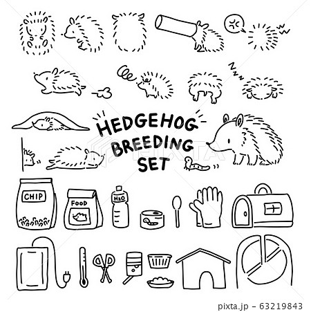 ヨツユビハリネズミのイラスト素材