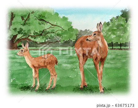 奈良公園 鹿のイラスト素材