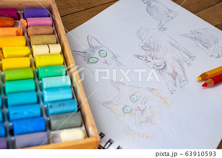 猫のデッサンの写真素材 - PIXTA
