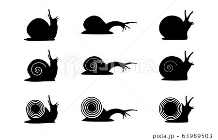 カタツムリ エスカルゴ 軟体動物 マイマイの写真素材