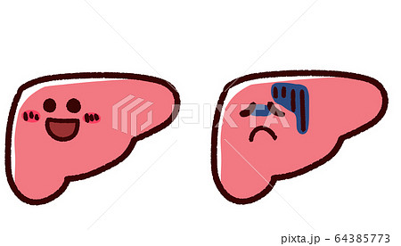 肝臓のイラスト素材